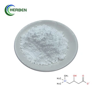 Pure L Carnitine Powder