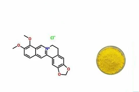 Berberine Hydrochloride extract Berberine Hydrochloride extract