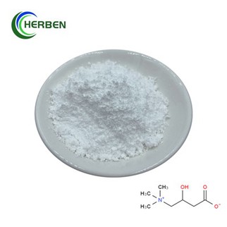 Ακατέργαστες σκόνες L Καρνιτίνη